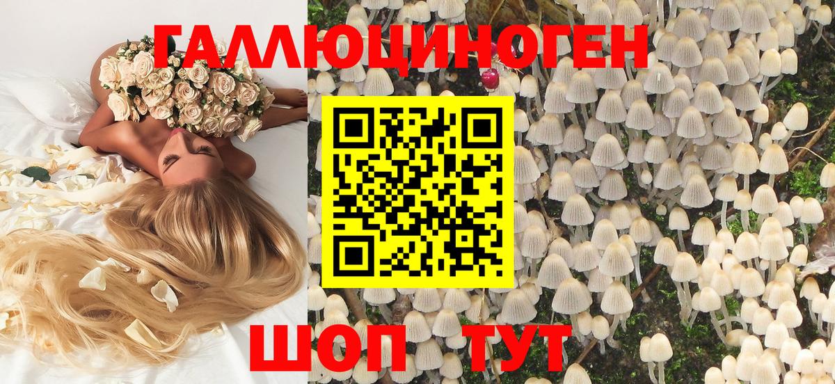 Галлюциногенные грибы ЛСД Фурманов
