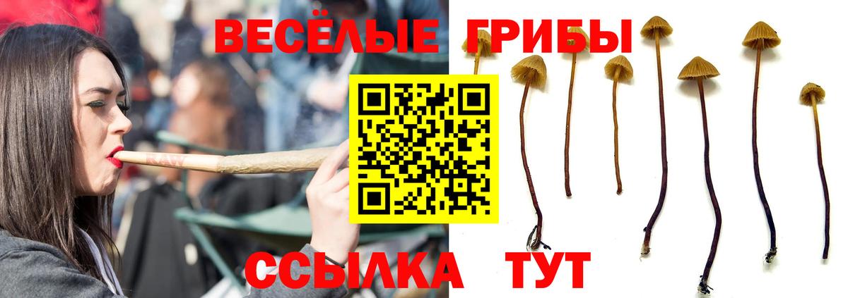 Псилоцибиновые грибы мухоморы  Галлюциногенные грибы Psilocybe  Фурманов  где найти   Вход с VPN 